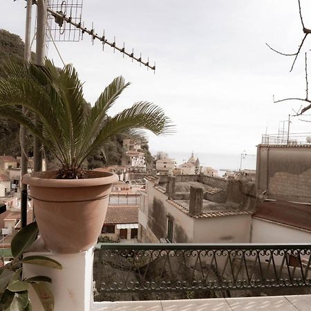 Casa Nel Borgo Dei Gatti Διαμέρισμα Cetara Εξωτερικό φωτογραφία
