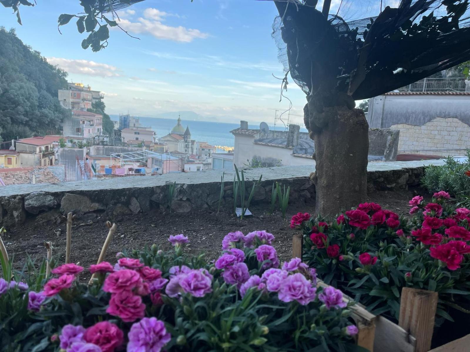 Casa Nel Borgo Dei Gatti Διαμέρισμα Cetara Εξωτερικό φωτογραφία